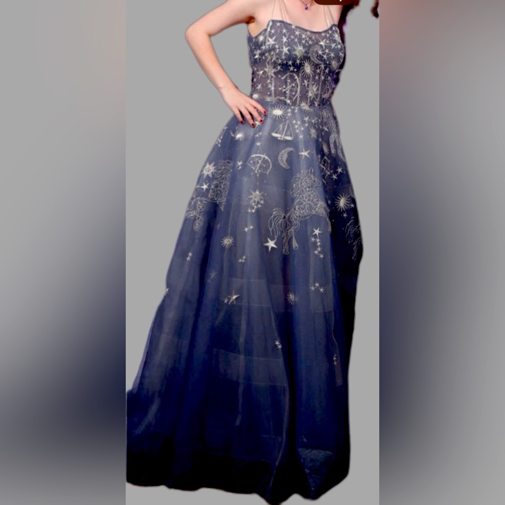 Blue Gown with Embroidered details